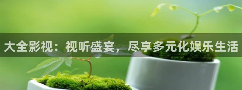 大全影视：视听盛宴，尽享多元化娱乐生活