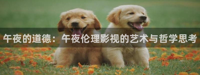 午夜的道德：午夜伦理影视的艺术与哲学思考