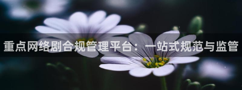 重点网络剧合规管理平台：一站式规范与监管