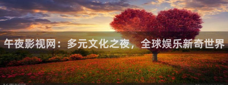 午夜影视网：多元文化之夜，全球娱乐新奇世界