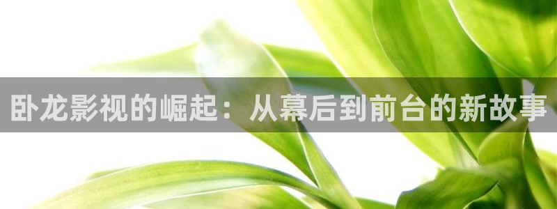 卧龙影视的崛起：从幕后到前台的新故事