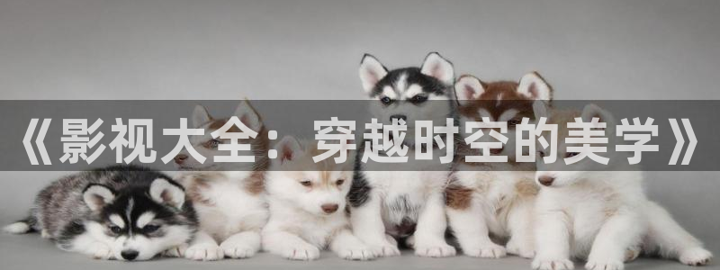 《影视大全：穿越时空的美学》