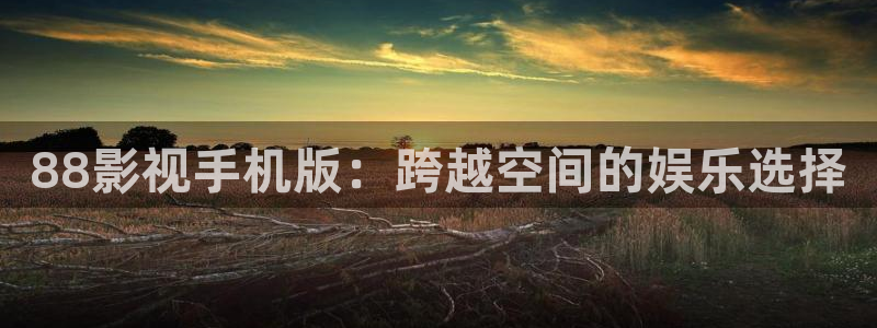 88影视手机版：跨越空间的娱乐选择